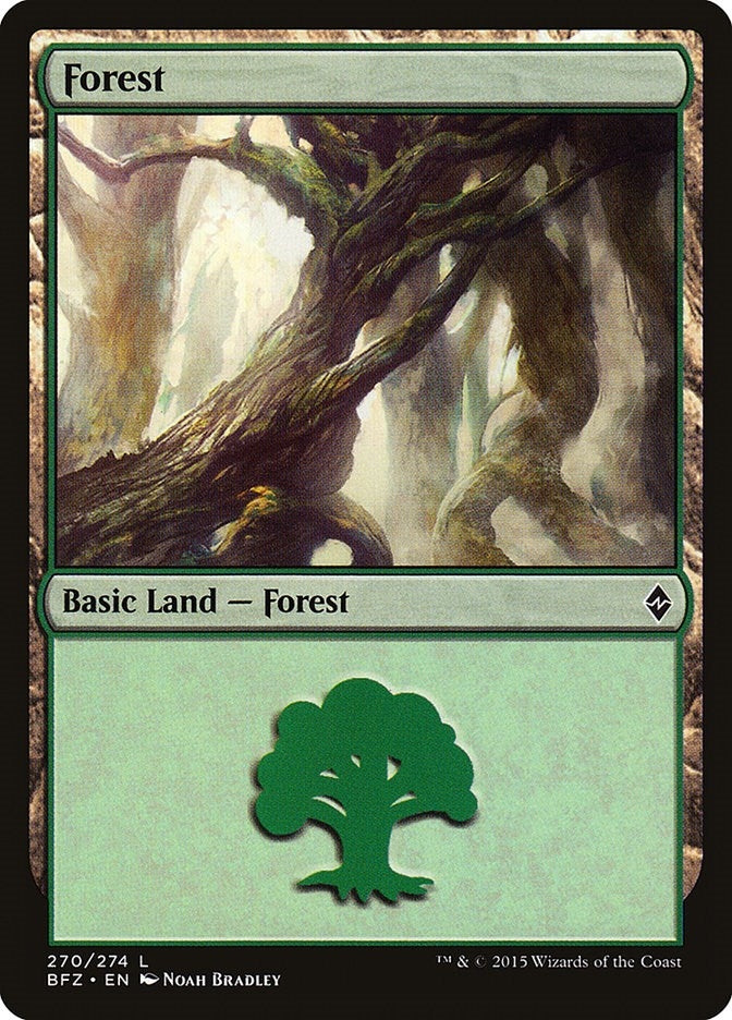 Image for Forest (270) (270) - Magic: The Gathering