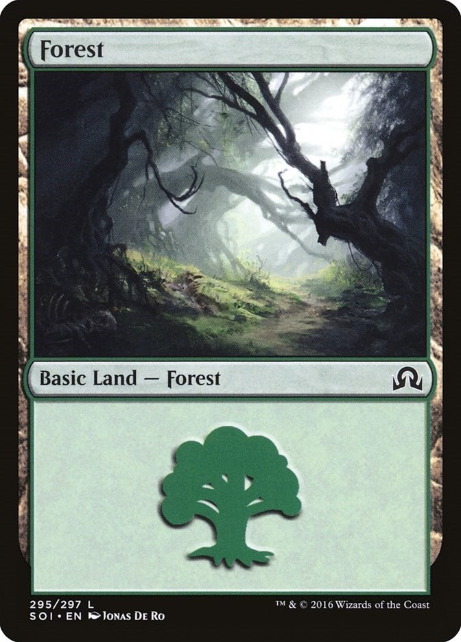 Image for Forest (295) (295) - Magic: The Gathering