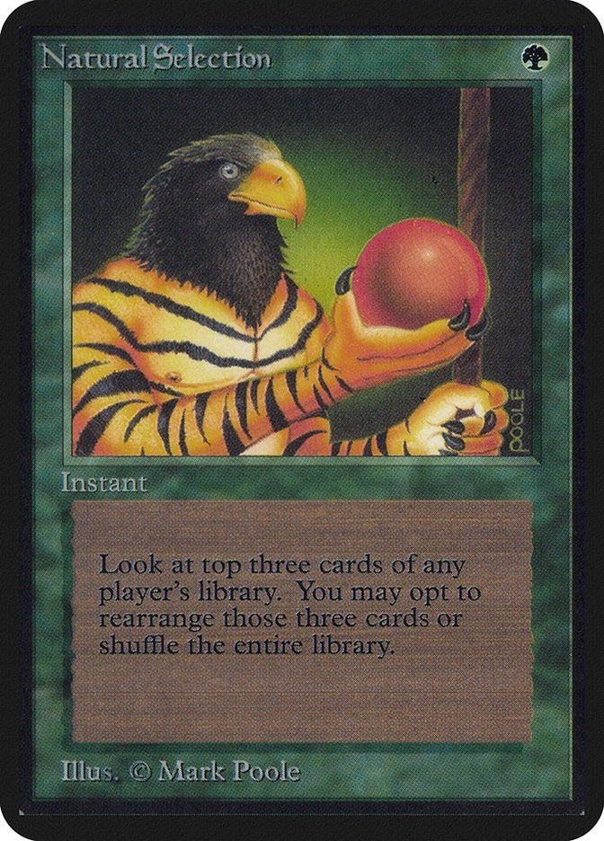 Image for Natural Selection - Magic: The Gathering