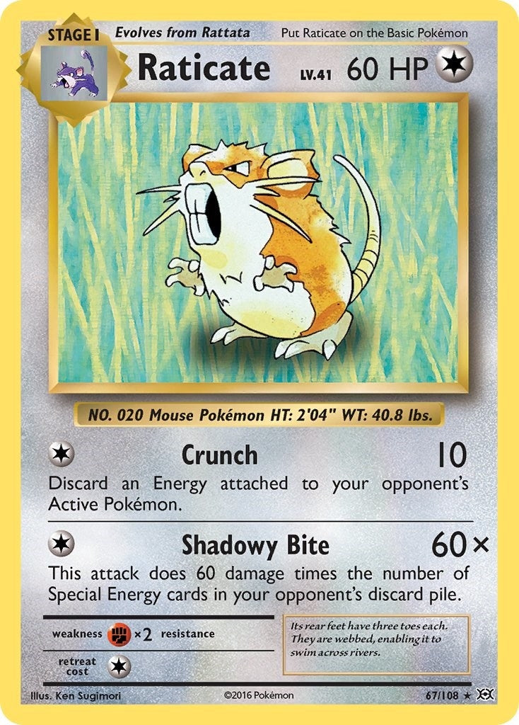 Image for Raticate (67/108) (EVO) - Pokemon