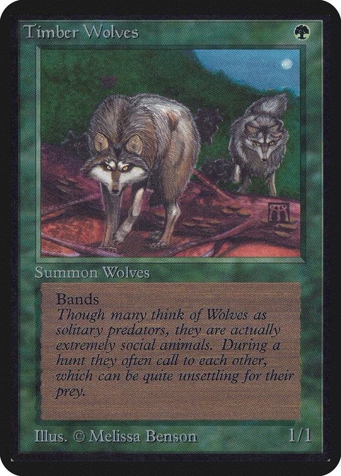 Image for Timber Wolves - Magic: The Gathering