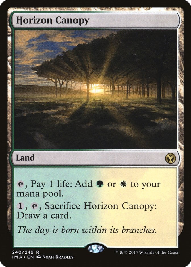 Image for Horizon Canopy (240) - Magic: The Gathering