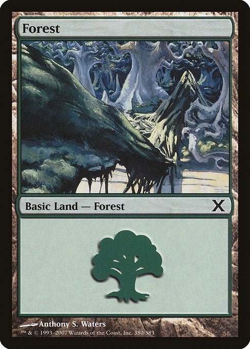 Image for Forest (380) (380) (10E) - Magic: The Gathering