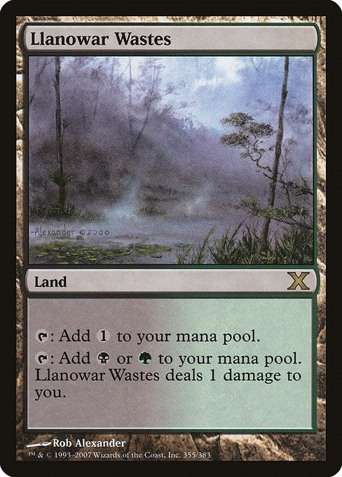 Image for Llanowar Wastes (355) (10E) - Magic: The Gathering