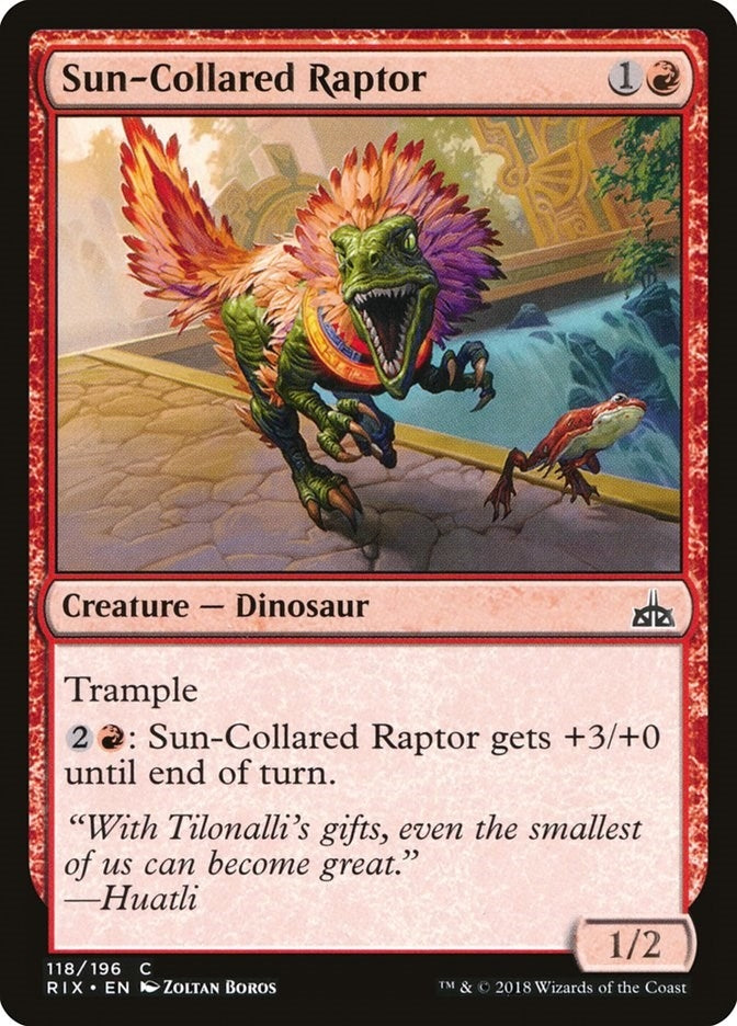 Image for Sun-Collared Raptor (118) (RIX) - Magic: The Gathering