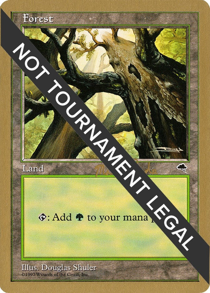 Image for Forest (Skyward) - 1999 Matt Linde (TMP) - Magic: The Gathering