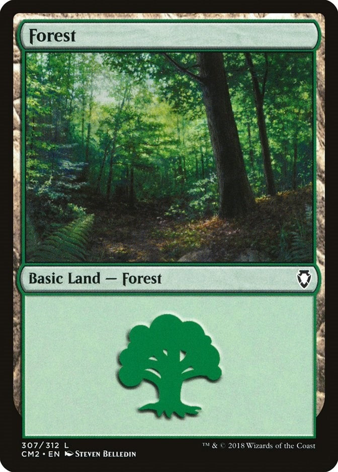 Image for Forest (307) (307) - Magic: The Gathering