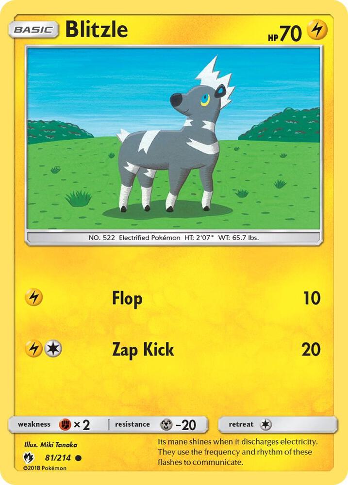 Blitzle (81/214) (SM8)