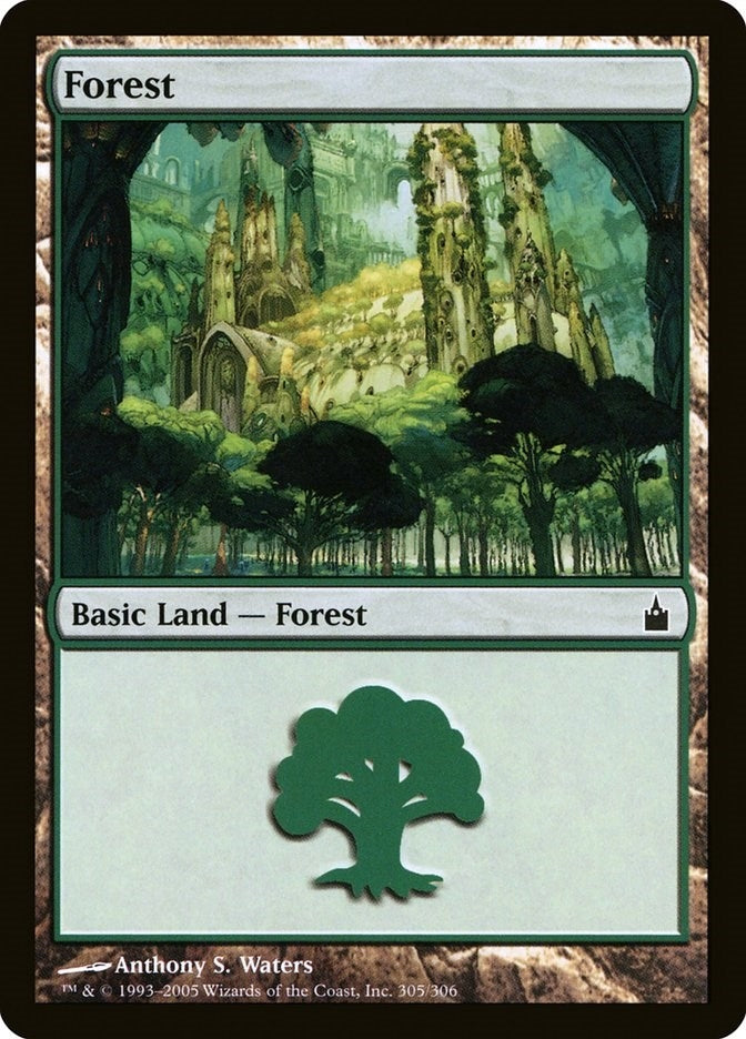 Image for Forest (305) (305) - Magic: The Gathering