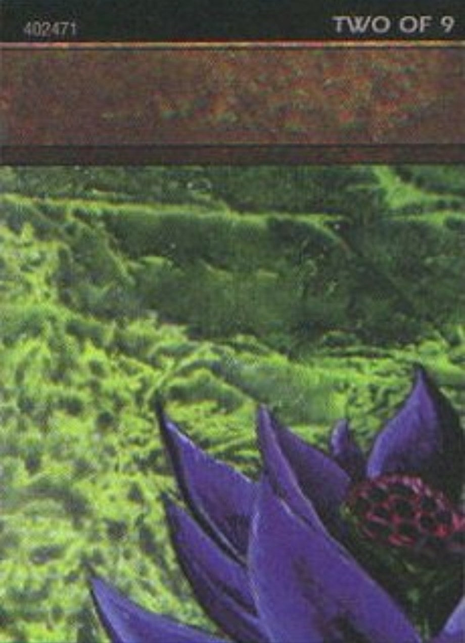 Image for Black Lotus (2 of 9) (Ultra Pro Puzzle Quest) (1) - Magic: The Gathering