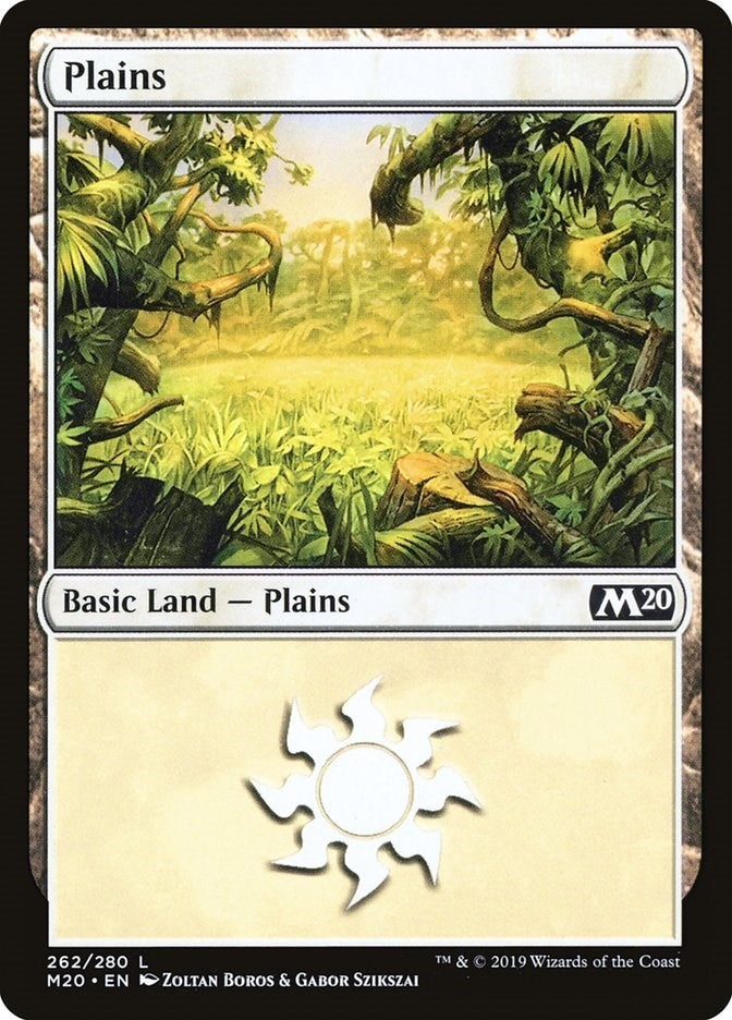 Image for Plains (262) (262) - Magic: The Gathering