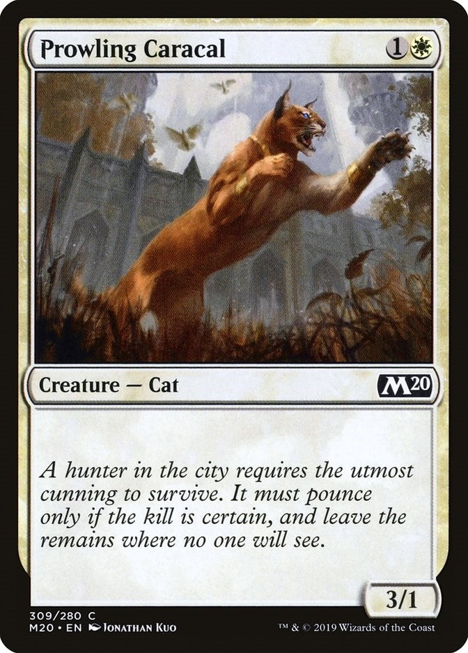 Image for Prowling Caracal (309) - Magic: The Gathering