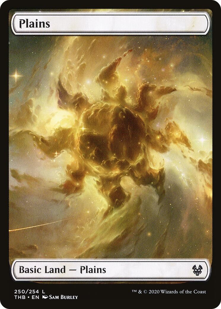 Image for Plains (250) - Magic: The Gathering