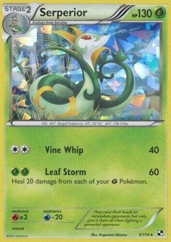 Image for Serperior - 5/114 (Cracked Ice Holo) (005/114) (PR) - Pokemon