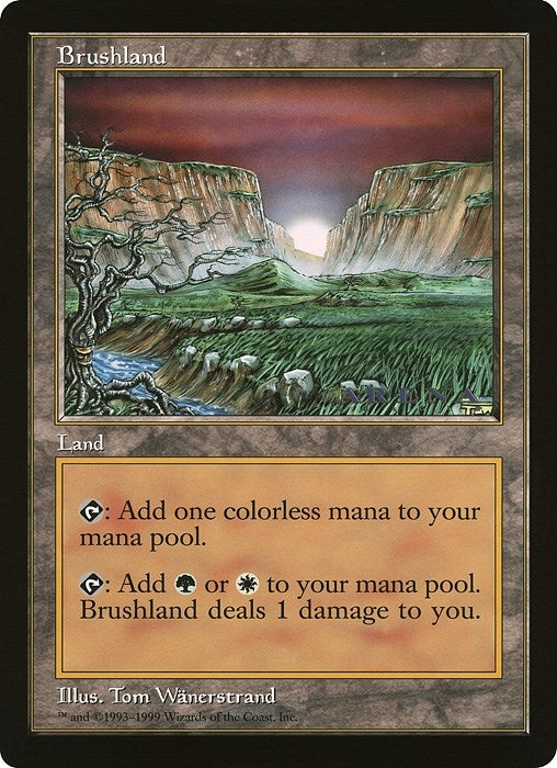 Image for Brushland (Arena League) - Magic: The Gathering