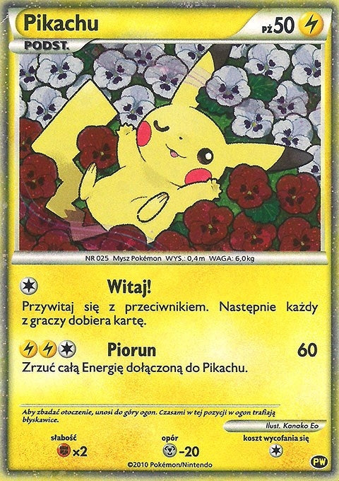 Image for Pikachu (Polish) (PW 8) (PWCP) - Pokemon