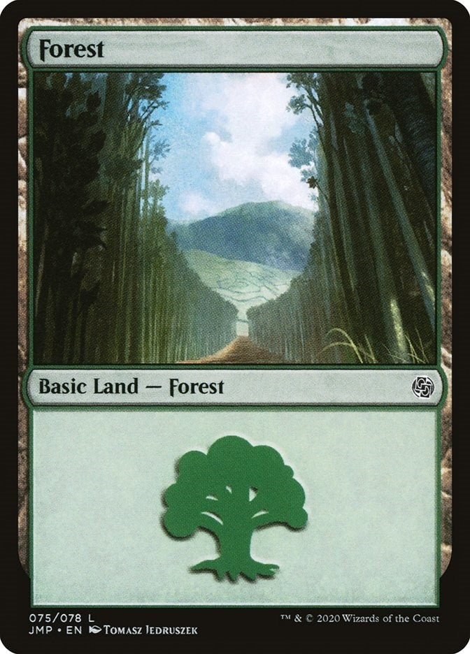 Image for Forest (075) (75) - Magic: The Gathering