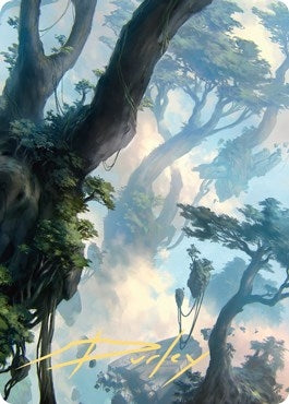 Image for Forest Art Card (19/81) (Gold-Stamped Signature) (19) (ASZNR) - Magic: The Gathering