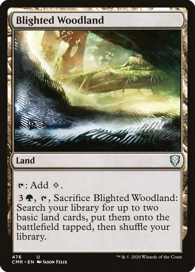 Image for Blighted Woodland (476) - Magic: The Gathering