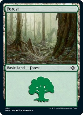 Image for Forest (489) (Foil Etched) (489) - Magic: The Gathering