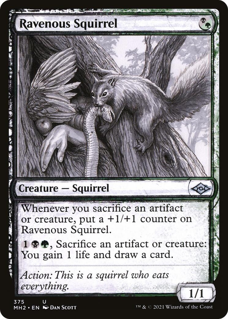 Image for Ravenous Squirrel (Showcase) (375) - Magic: The Gathering