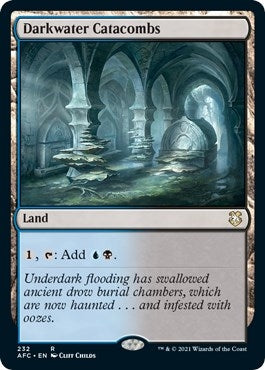Image for Darkwater Catacombs (232) - Magic: The Gathering