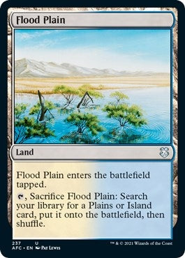 Image for Flood Plain (237) - Magic: The Gathering