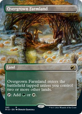 Image for Overgrown Farmland (Borderless) (283) - Magic: The Gathering