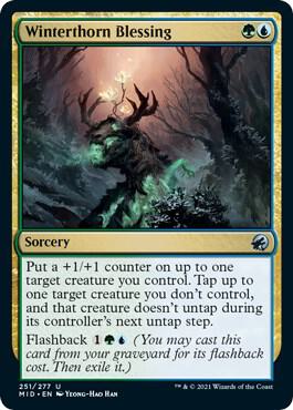 Image for Winterthorn Blessing (251) - Magic: The Gathering