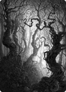 Image for Forest Art Card (80/81) (80) (ASMID) - Magic: The Gathering