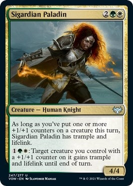 Image for Sigardian Paladin (247) - Magic: The Gathering