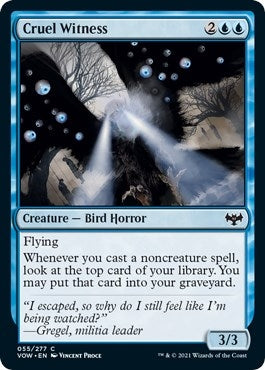 Image for Cruel Witness (55) - Magic: The Gathering