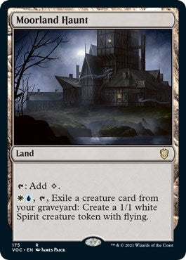 Image for Moorland Haunt (175) - Magic: The Gathering