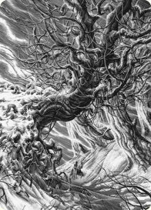 Image for Forest Art Card (81) (ASVOW) - Magic: The Gathering