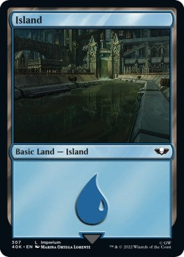 Image for Island (307) (307) - Magic: The Gathering