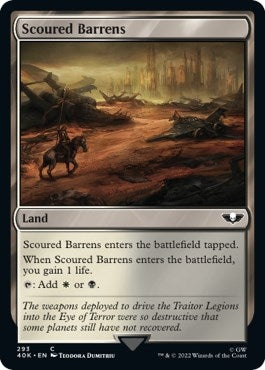 Image for Scoured Barrens (Surge Foil) (293) - Magic: The Gathering