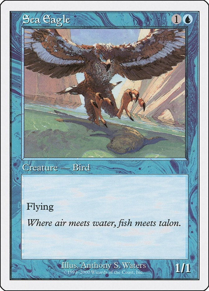 Image for Sea Eagle - Magic: The Gathering