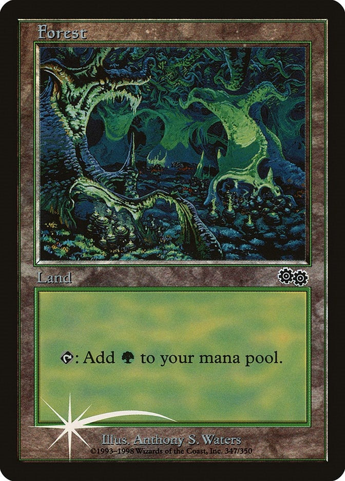 Image for Forest (1999) (347) - Magic: The Gathering
