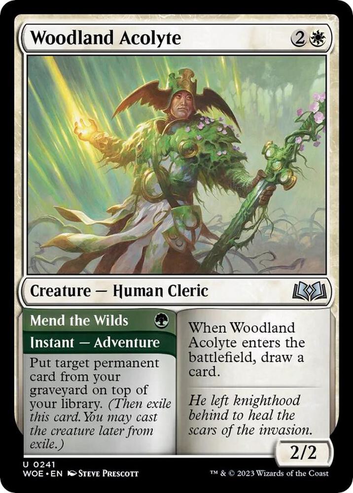 Image for Woodland Acolyte (241) - Magic: The Gathering