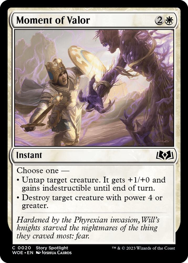 Image for Moment of Valor (20) - Magic: The Gathering