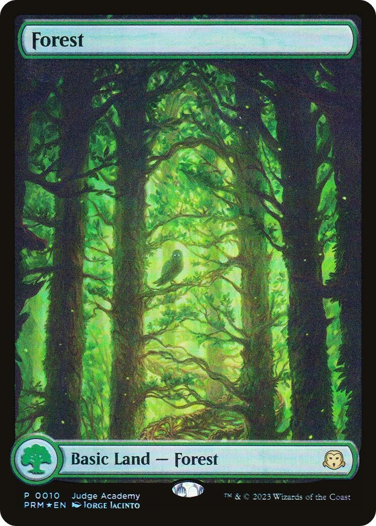 Image for Forest - Full Art (0010) (10) (JDG) - Magic: The Gathering
