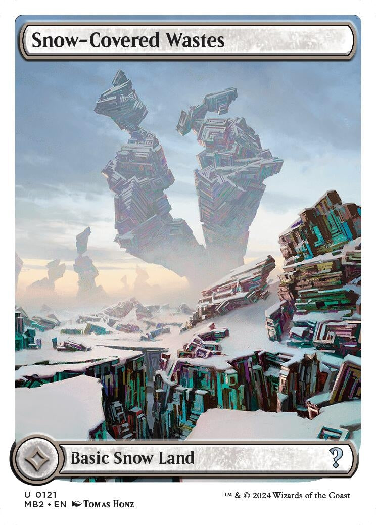 Image for Snow-Covered Wastes (White Border) (121) - Magic: The Gathering