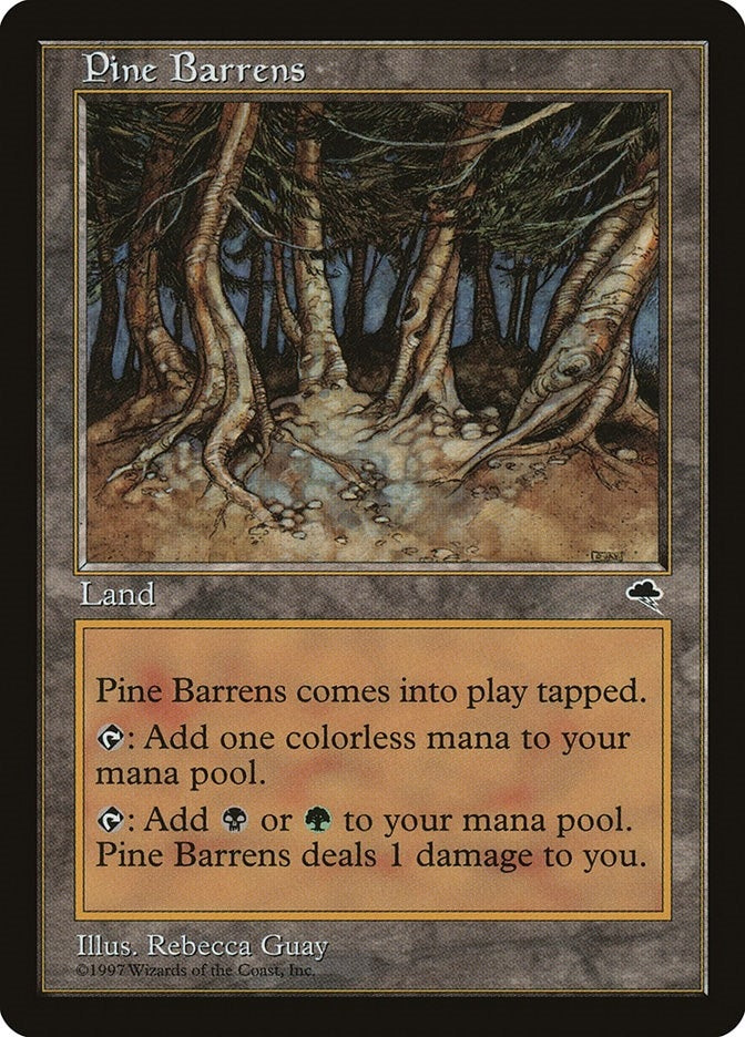 Image for Pine Barrens (321) - Magic: The Gathering