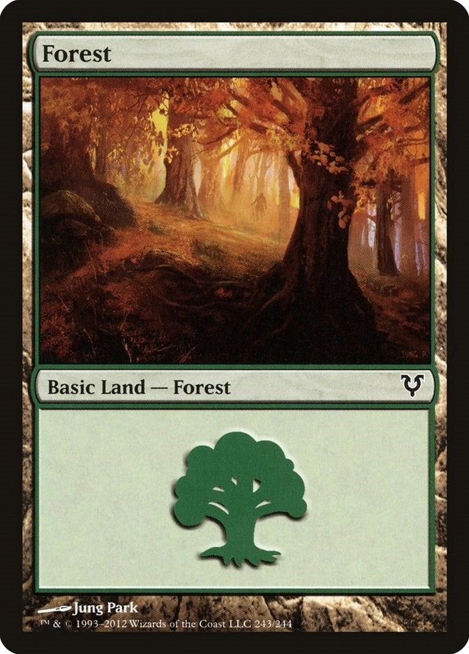 Image for Forest (243) (243) (AVR) - Magic: The Gathering