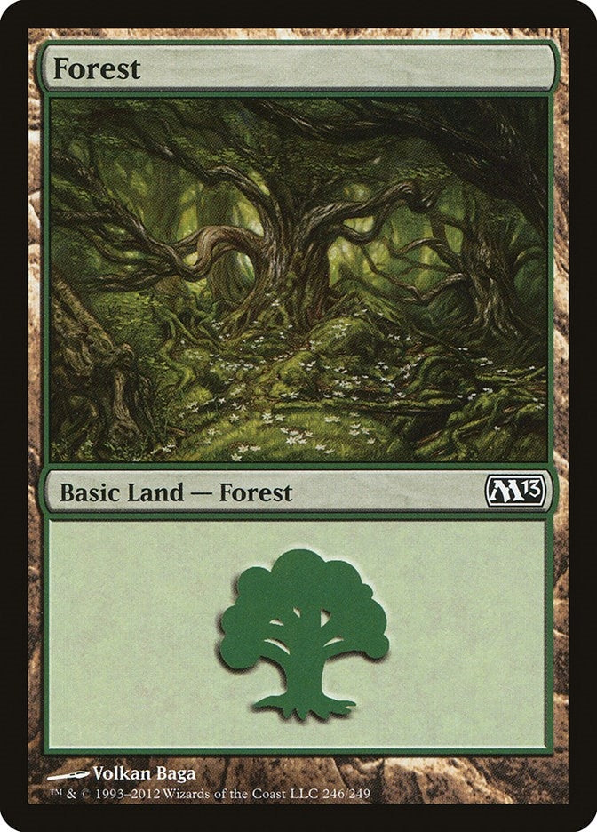 Image for Forest (246) (246) - Magic: The Gathering