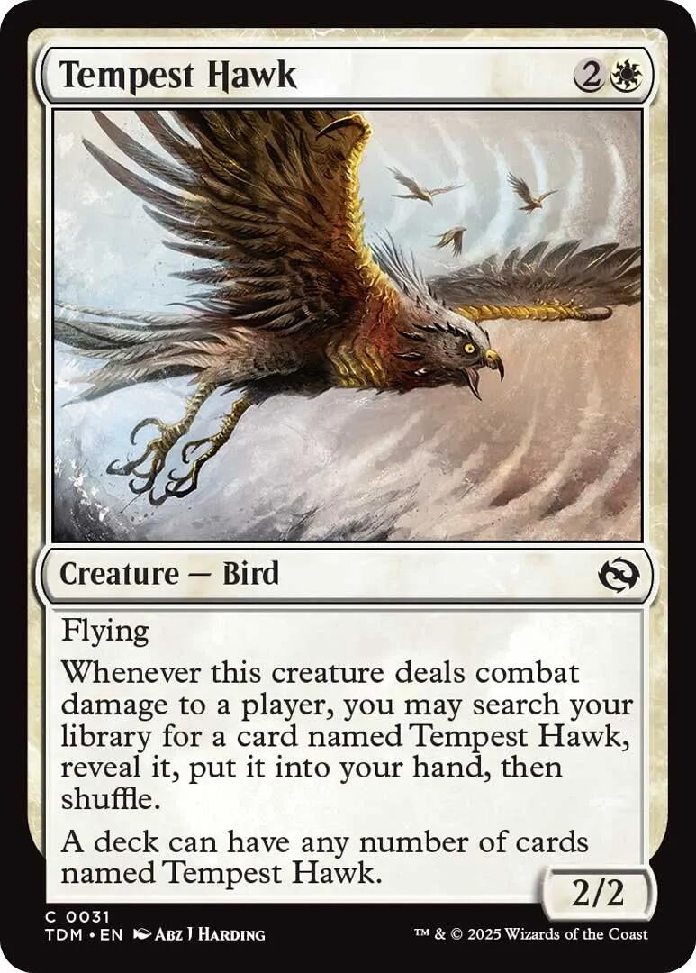 Image for Tempest Hawk (31) - Magic: The Gathering