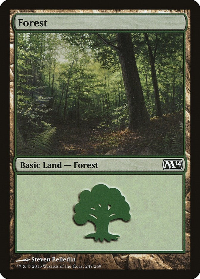 Image for Forest (247) (247) (M14) - Magic: The Gathering