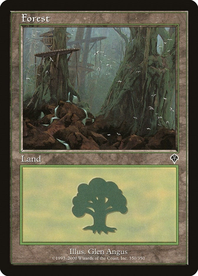 Image for Forest (350) (350) - Magic: The Gathering