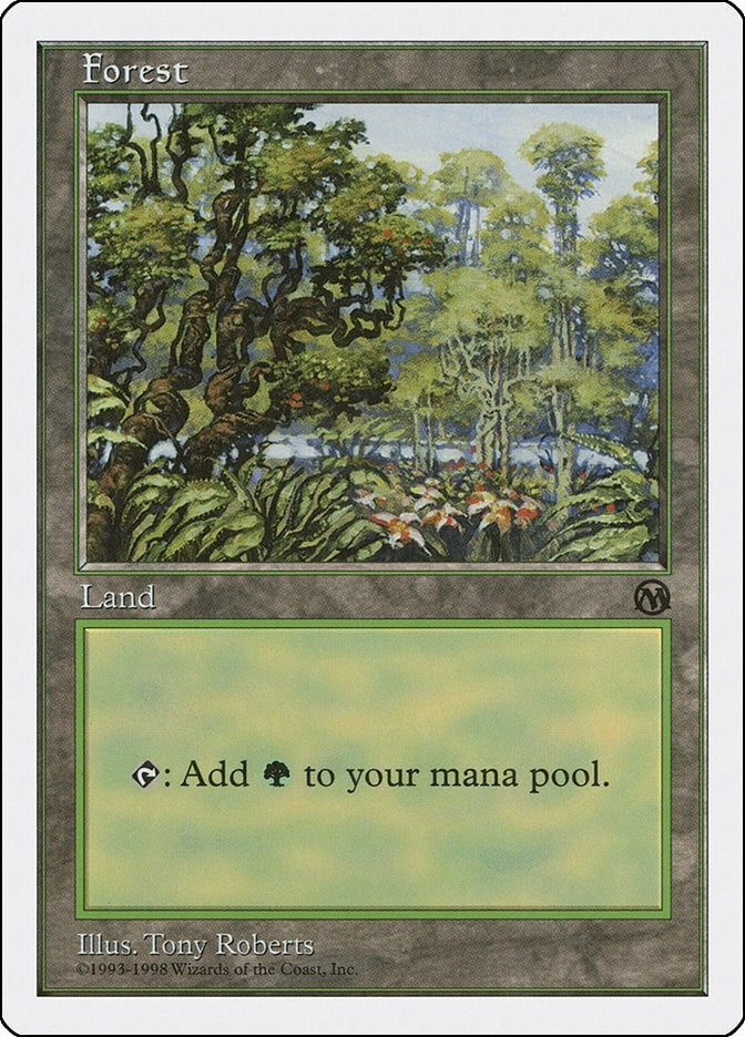 Image for Forest (Arena) (84) - Magic: The Gathering