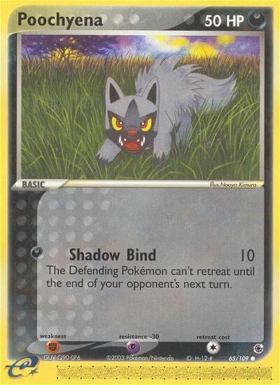 Image for Poochyena (65/109) (RS) - Pokemon